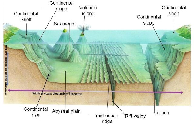 Underwater Topography Maps Offshore Exploration Undersea